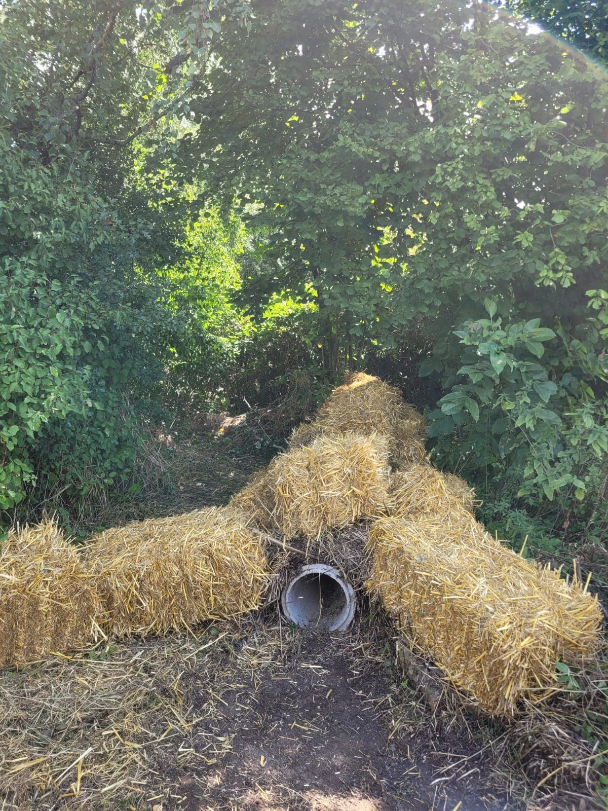 Fallenjagd verblendet